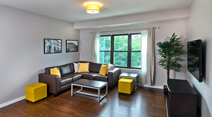 Grand & Finn, interior sitting area, St. Paul apartment